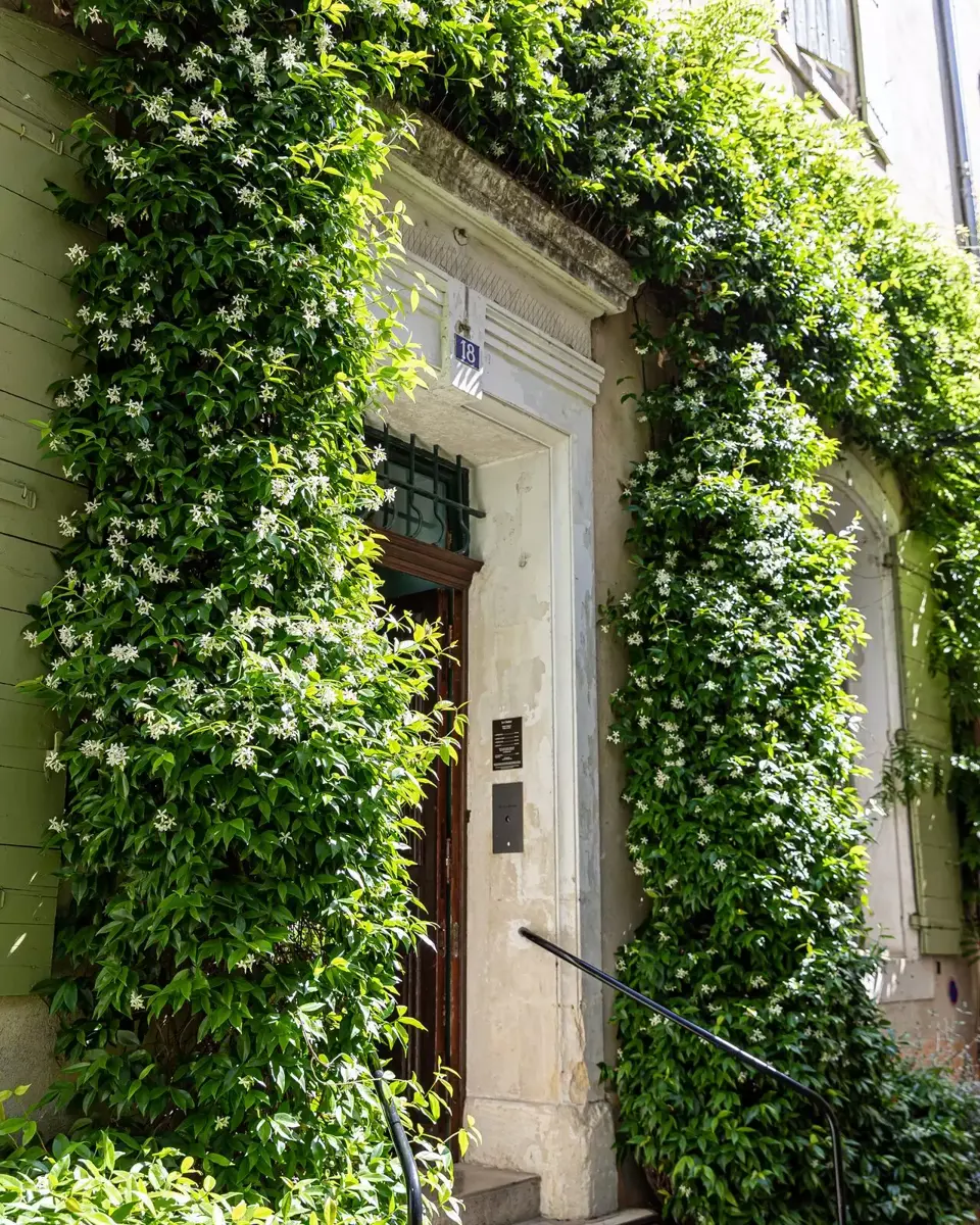 Entrée de l'hôtel Le Cloître à Arles