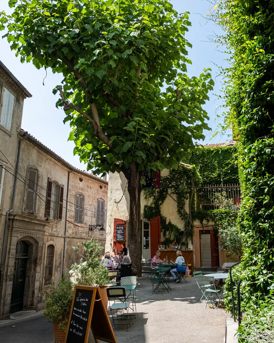 Terrasse de L'Épicerie du Cloître. Plusieurs tables et chaises sont installées à l'ombre d'un grand paulownia. Des personnes sont atablées.